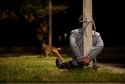 גולדברג ואייזנברג