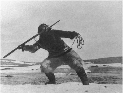 nanook